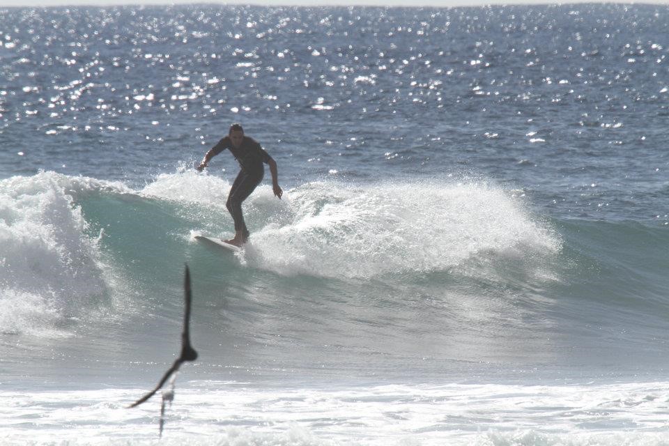 New Zealand Surfing Adventures Testimonal